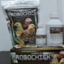 PROBOCHICK