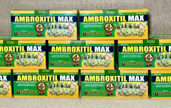 Ambroxitil Max WSP Sachet 5 Grams