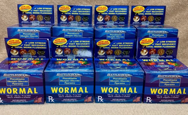 12 Boxes Wormal Anthelmintic 100 Tablets