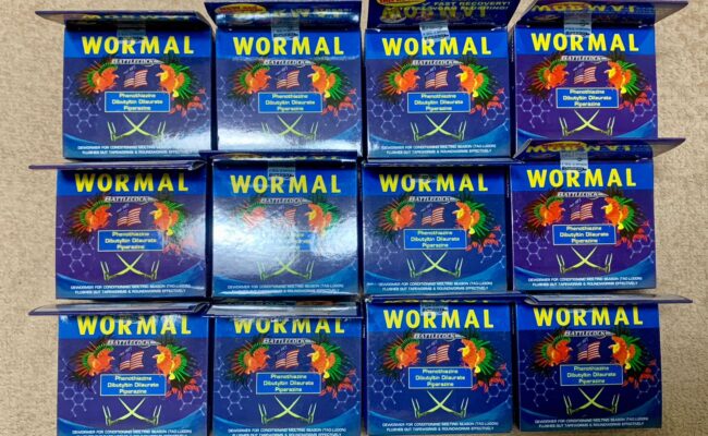 Womal Anthelmintic 12 Boxes x 100 Tablets